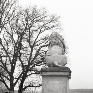 IMG_20150307_233015-EFFECTS-2