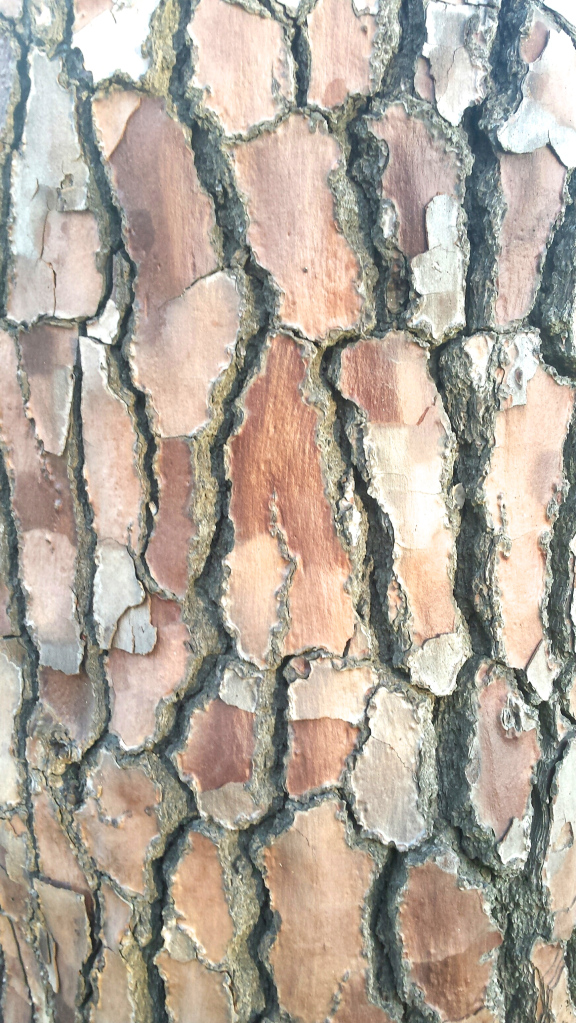 20141220_184636_resized